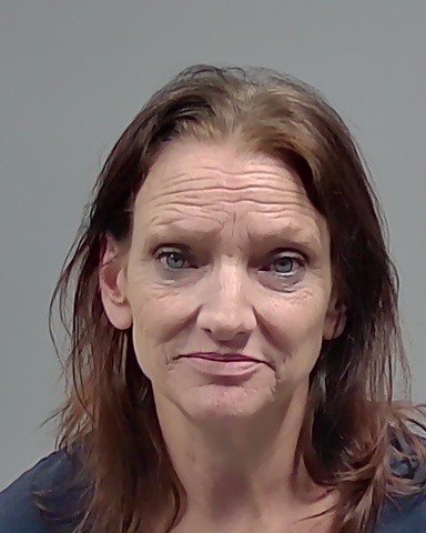 Booking photo of Sonja Travis