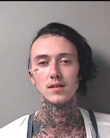 Booking photo of Tristan Anderson