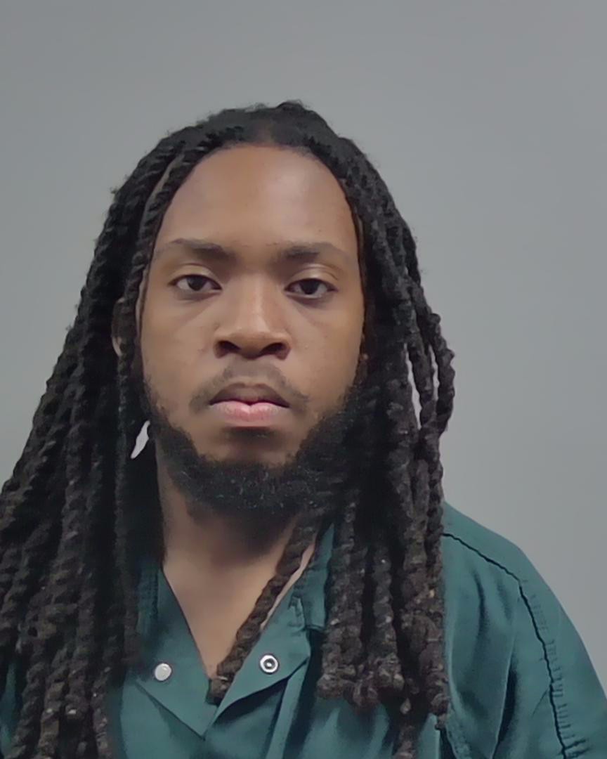 Booking photo of Michael Ball