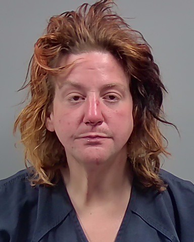 Booking photo of Laurne Helms