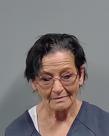 Booking photo of Lisa Aucoin