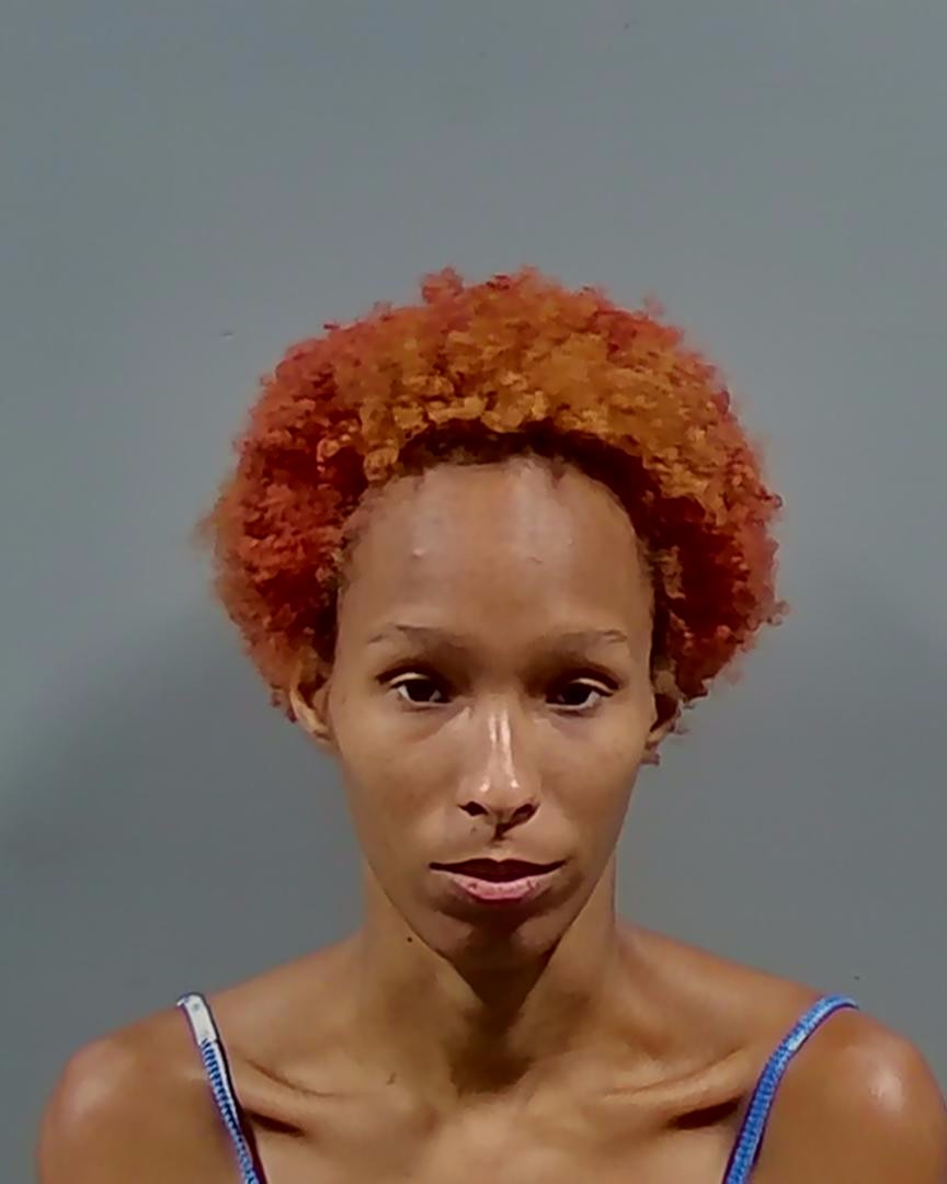 Booking photo of Shameka Holmes
