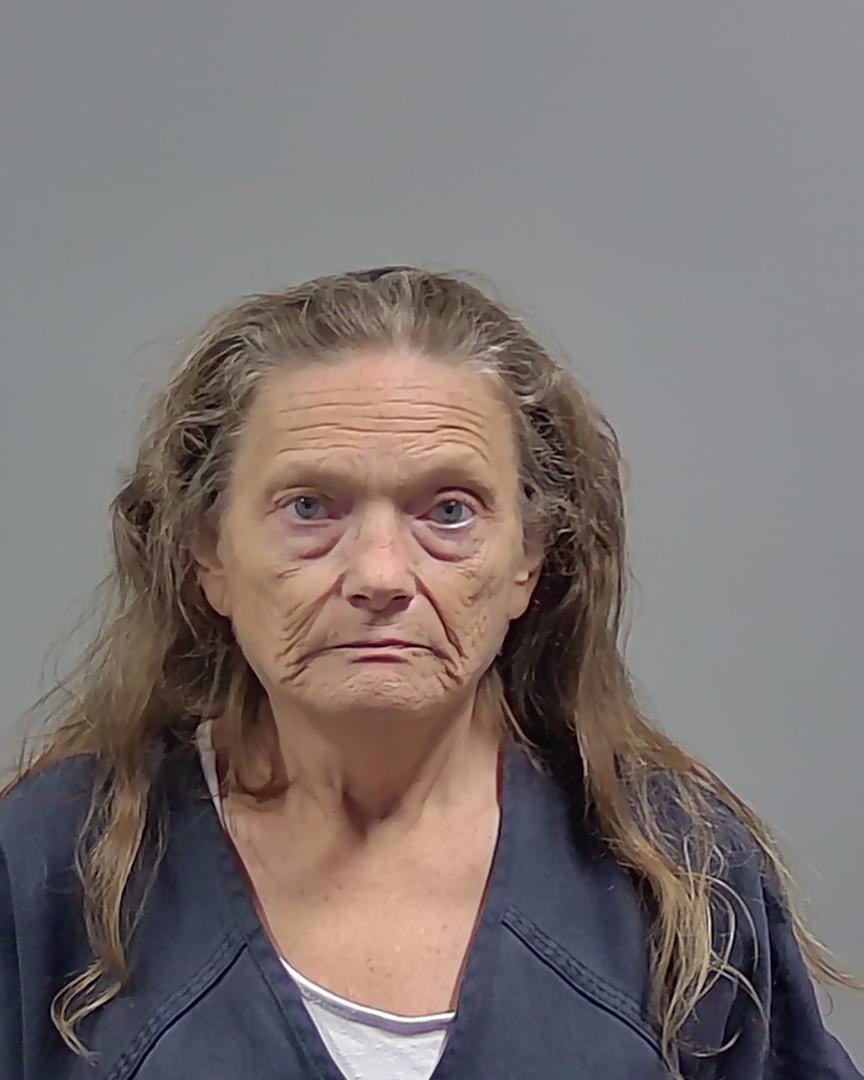 Monica Johnson booking photo
