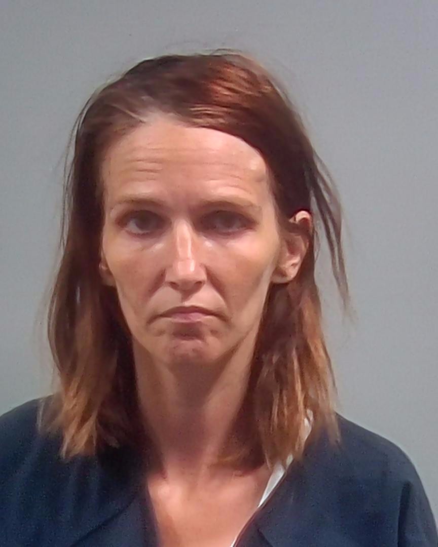 Meagan Robinson booking photo
