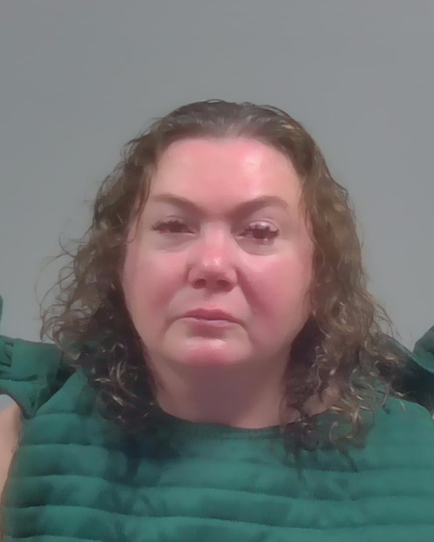 Alina Caleap booking photo