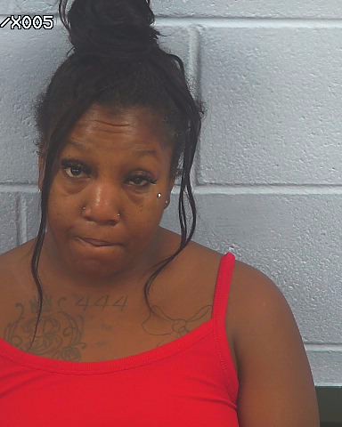 Booking photo of Krystal Wells