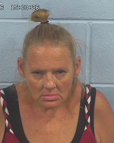 Booking photo of Gayle Peterson