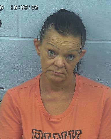 Booking photo of Violet Saly