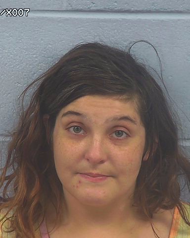 Booking photo of Heidi Stephens