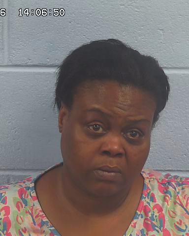 Booking photo of Schwanda Delaney