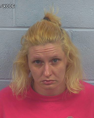 Booking photo of Ashley Hudgins-strange