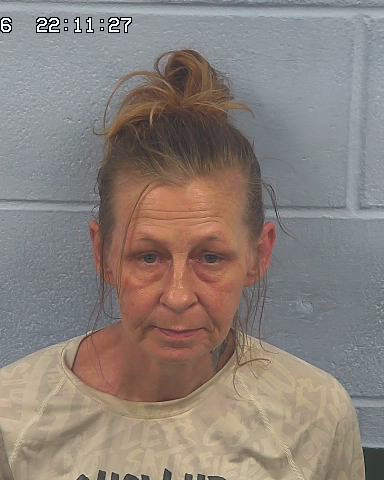Booking photo of Melissa Riddlespur