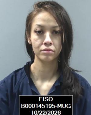 Daisy Magaly Hernandez booking photo