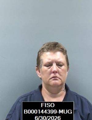 Booking photo of Danielle Lynn Wheeler