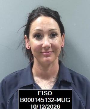 Booking photo of Krista Vaughan Streeter
