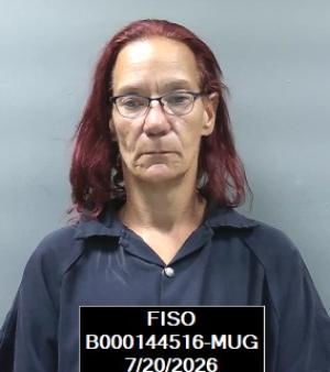 Booking photo of Lisa Louise Mcalister