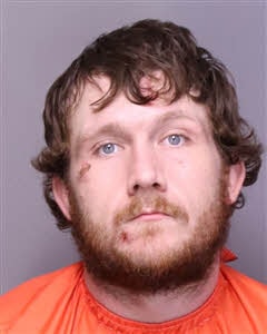 Booking photo of Charles Leroy Mcgee