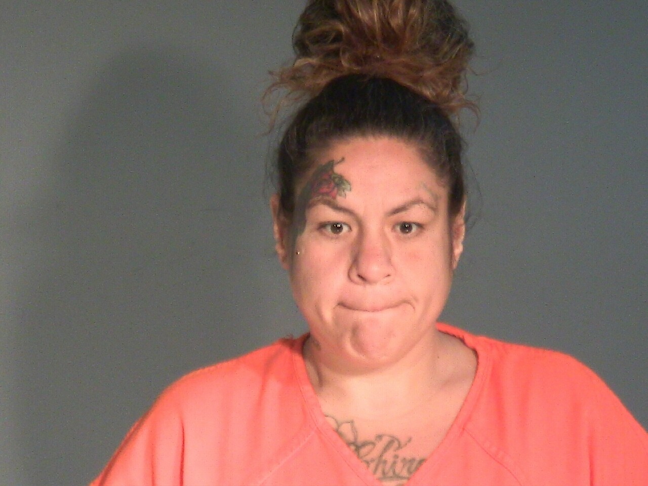 Booking photo of Alba Gina Rosario