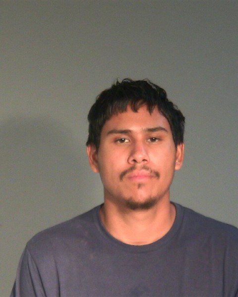 Booking photo of Mario Alberto Villegas