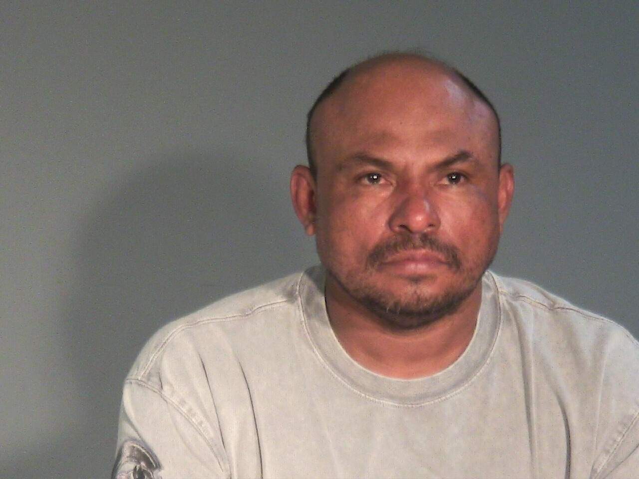 Booking photo of Oscar E Gonzalez Narvaez