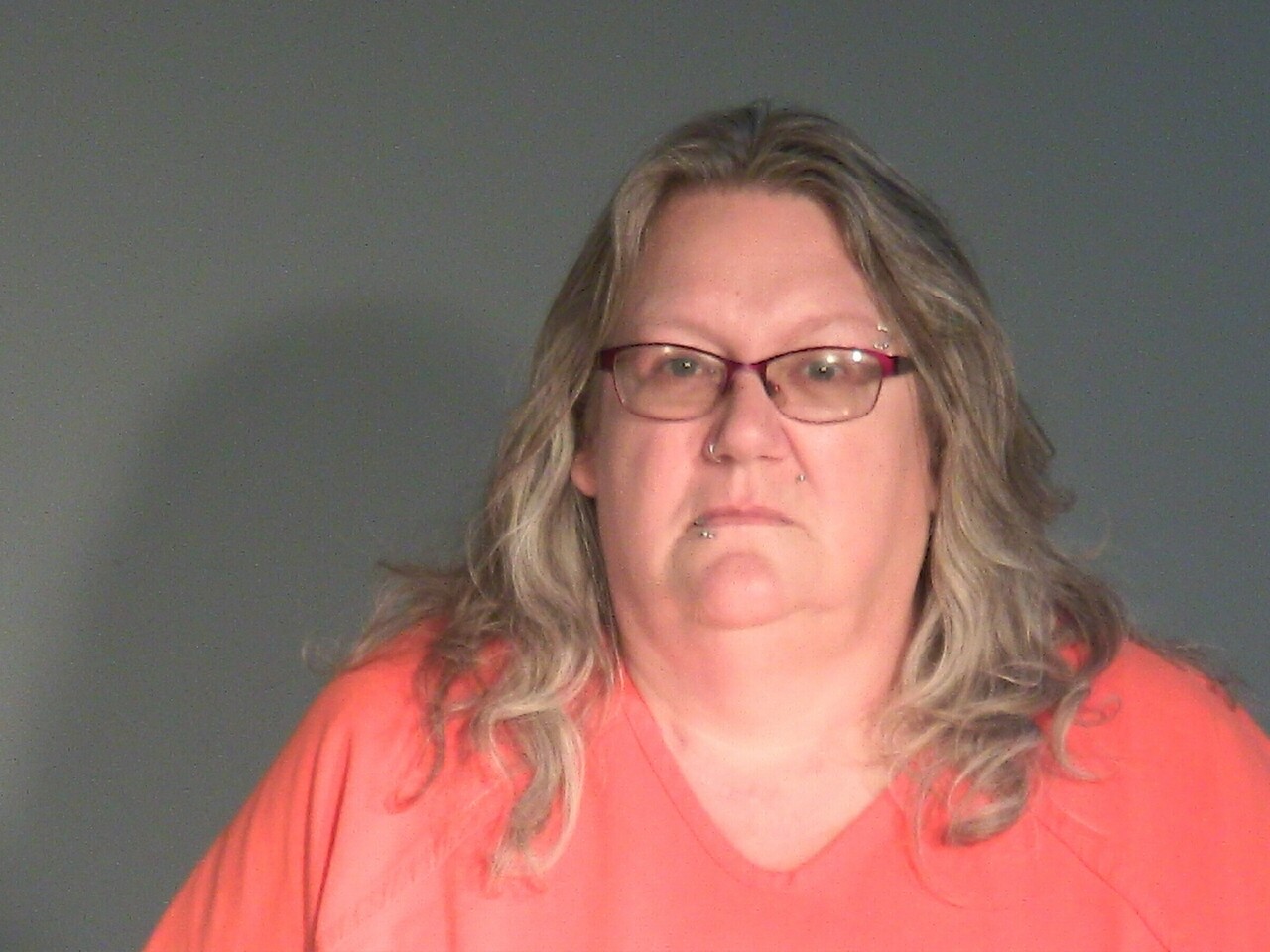 Denise Marie Perry booking photo