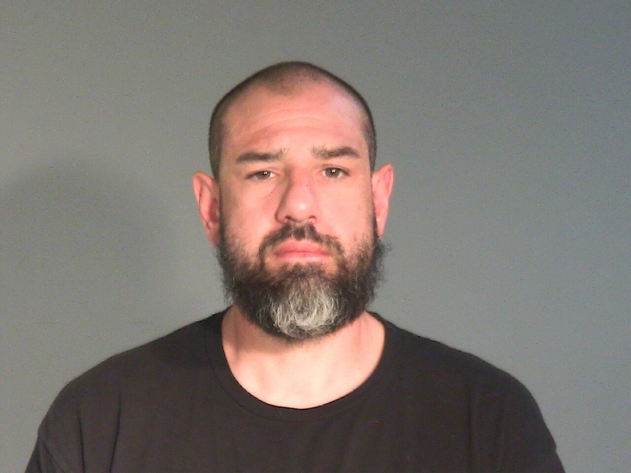 Booking photo of Anthony James Van Egtern