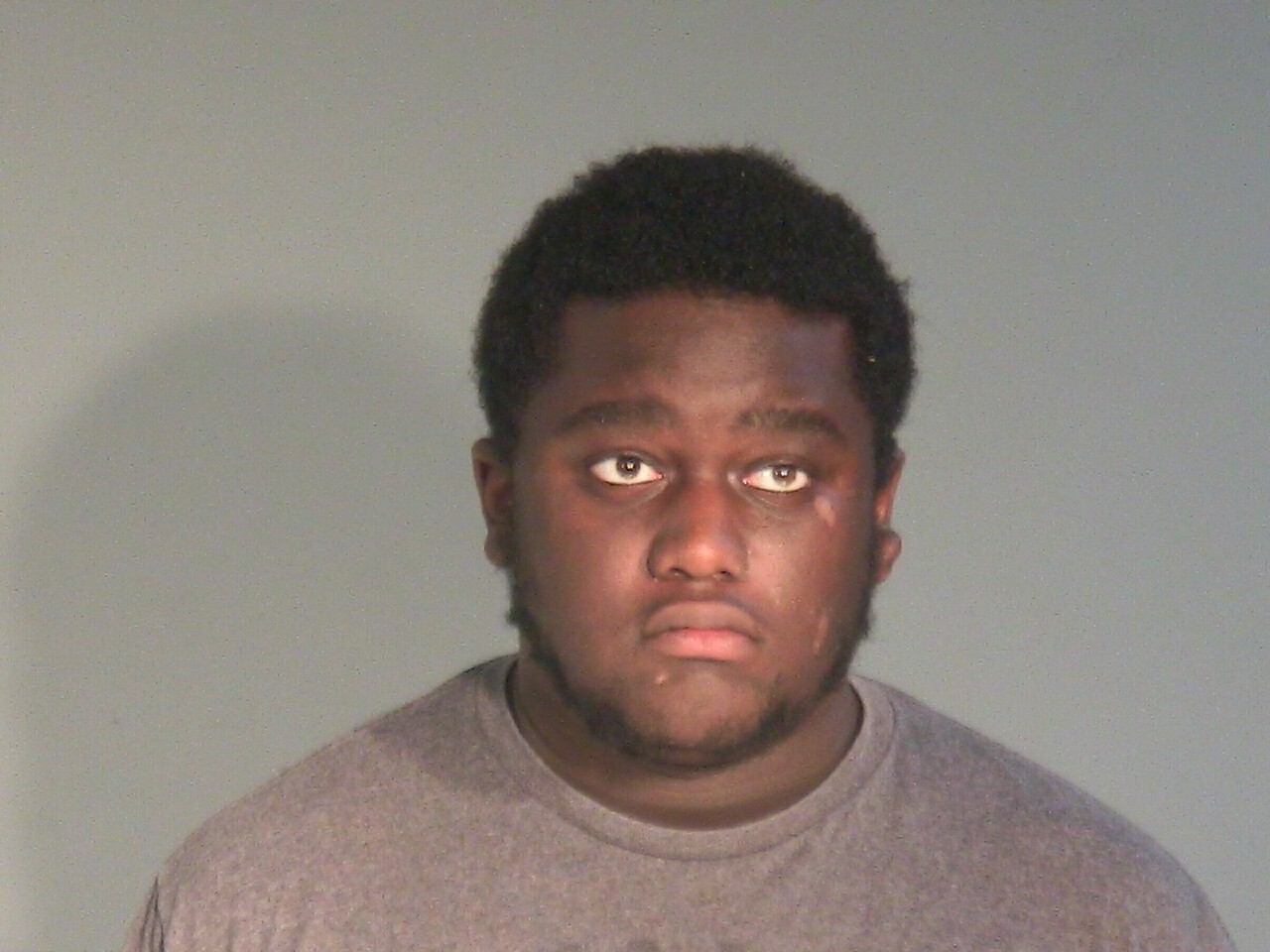 Booking photo of Adam Mg Holbrook