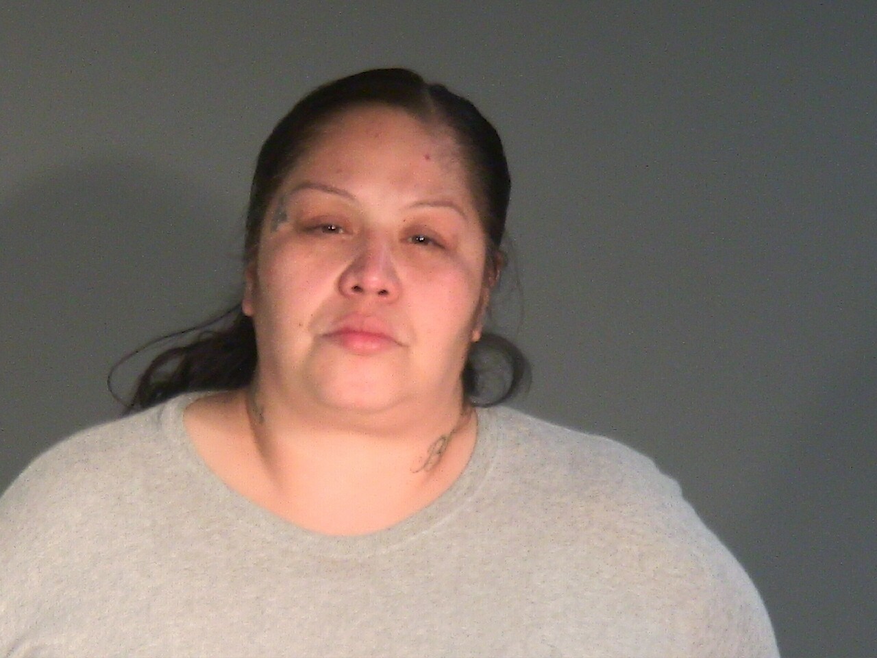 Booking photo of Nicole Sheerie Madosh