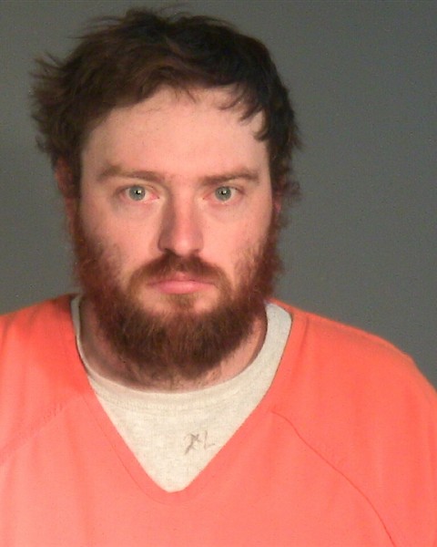 Booking photo of Andrew Christopher Feavel