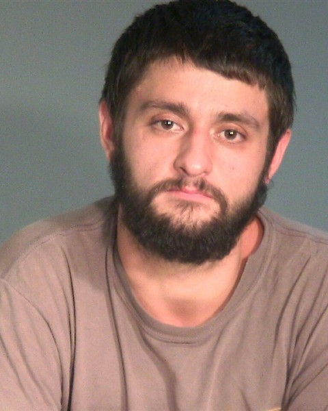 Booking photo of Steven Austin Behr