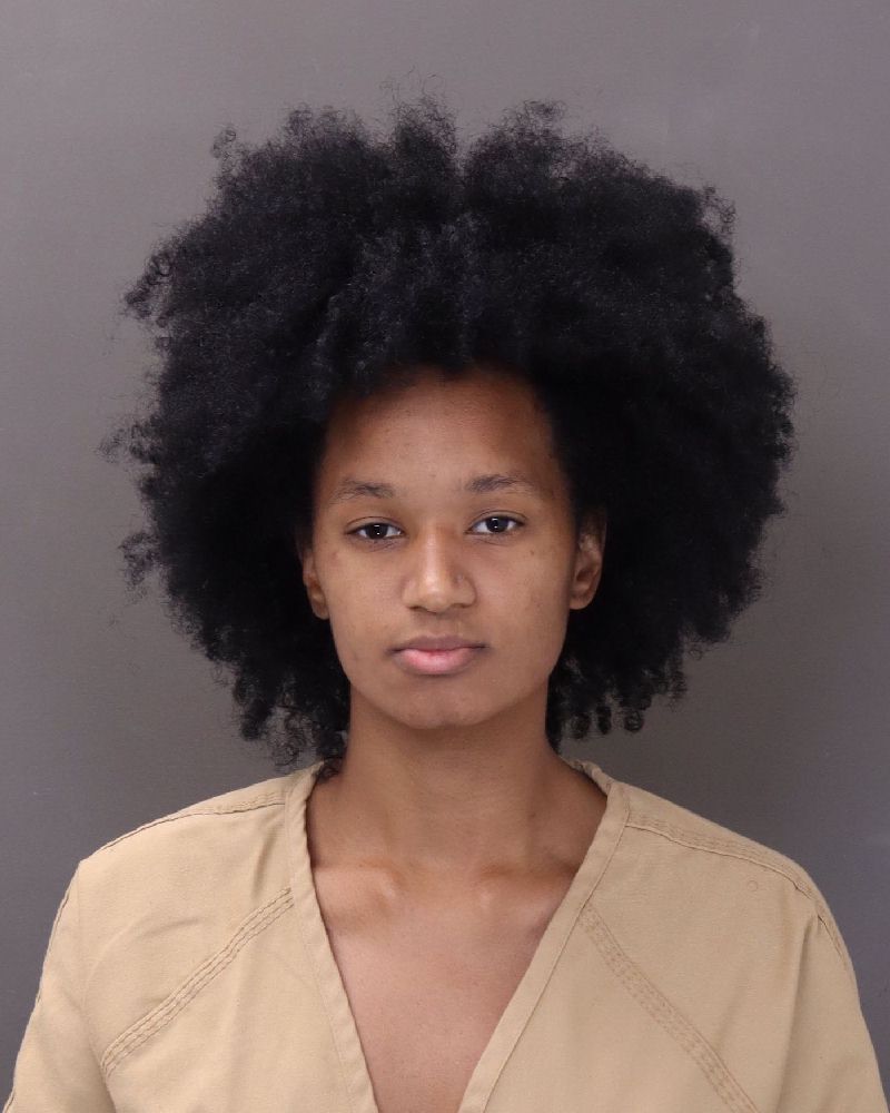 Booking photo of Lauryn Rogers