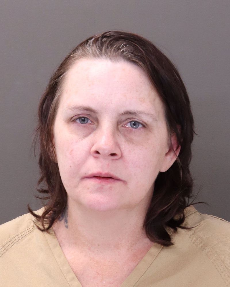 Booking photo of Tammy Lynn Combs