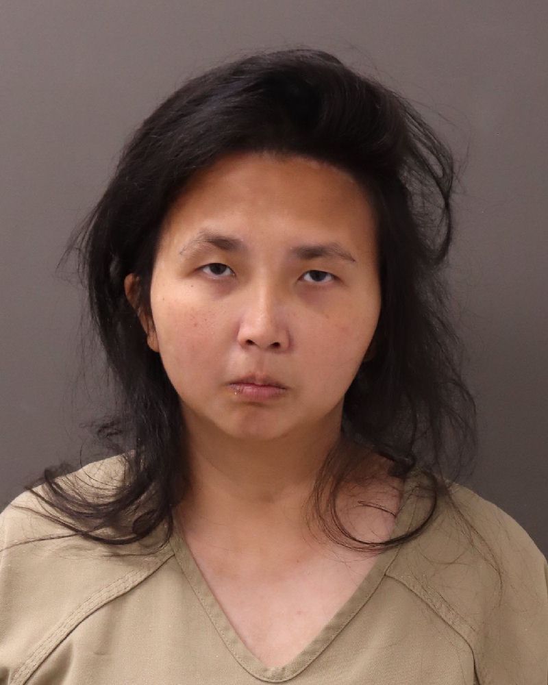 Booking photo of Celine Dianne Lahmann