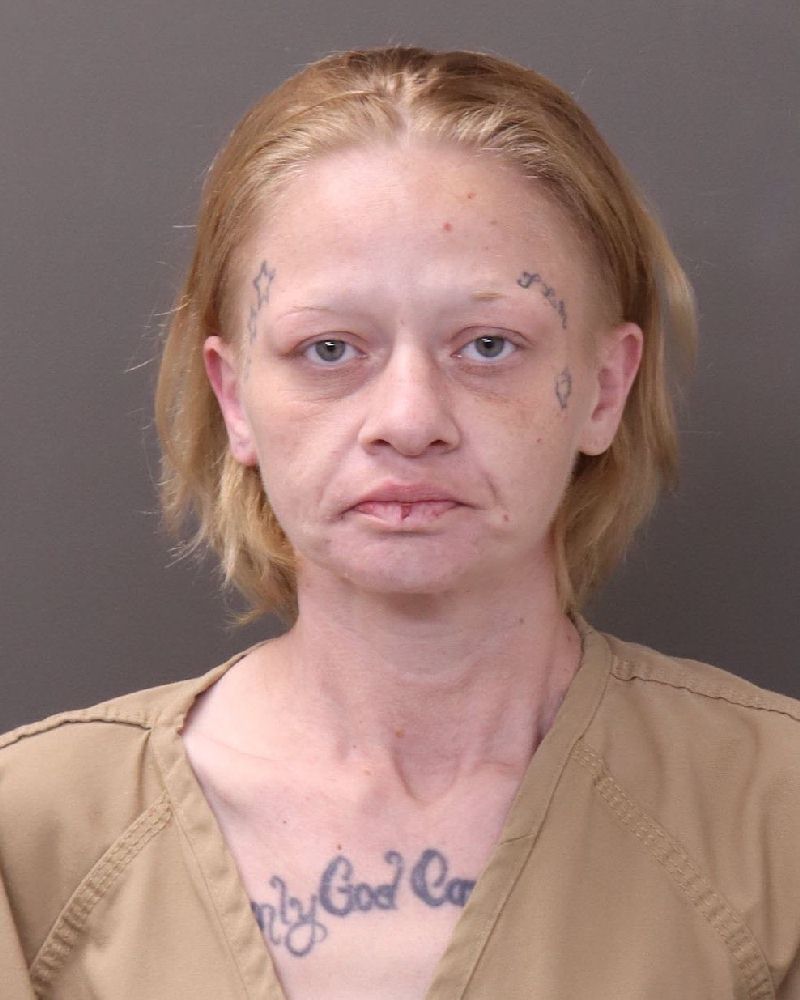 Booking photo of Danielle Jinks
