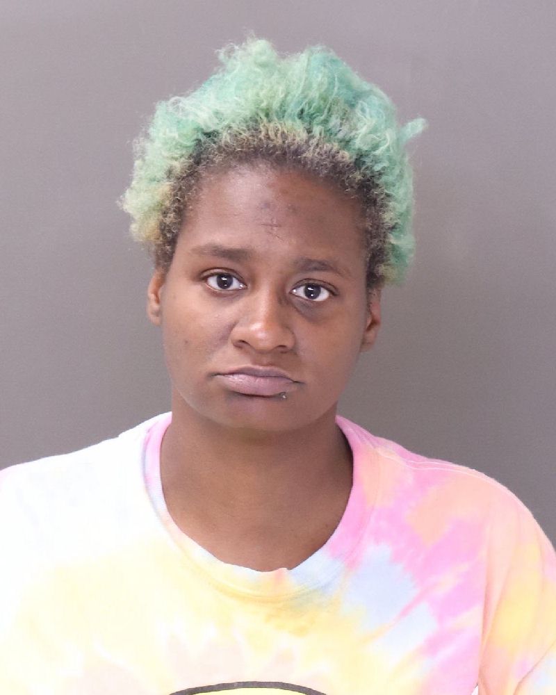 Cristine Robinson booking photo