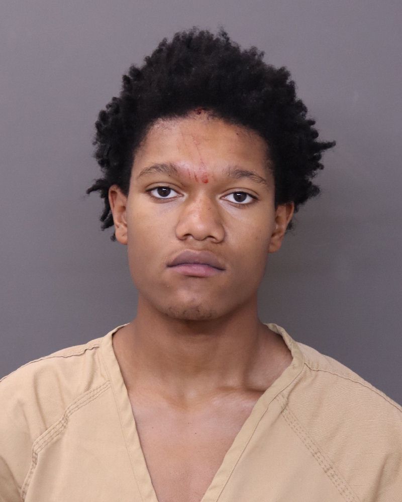 Booking photo of Tkev Antwan Davidson