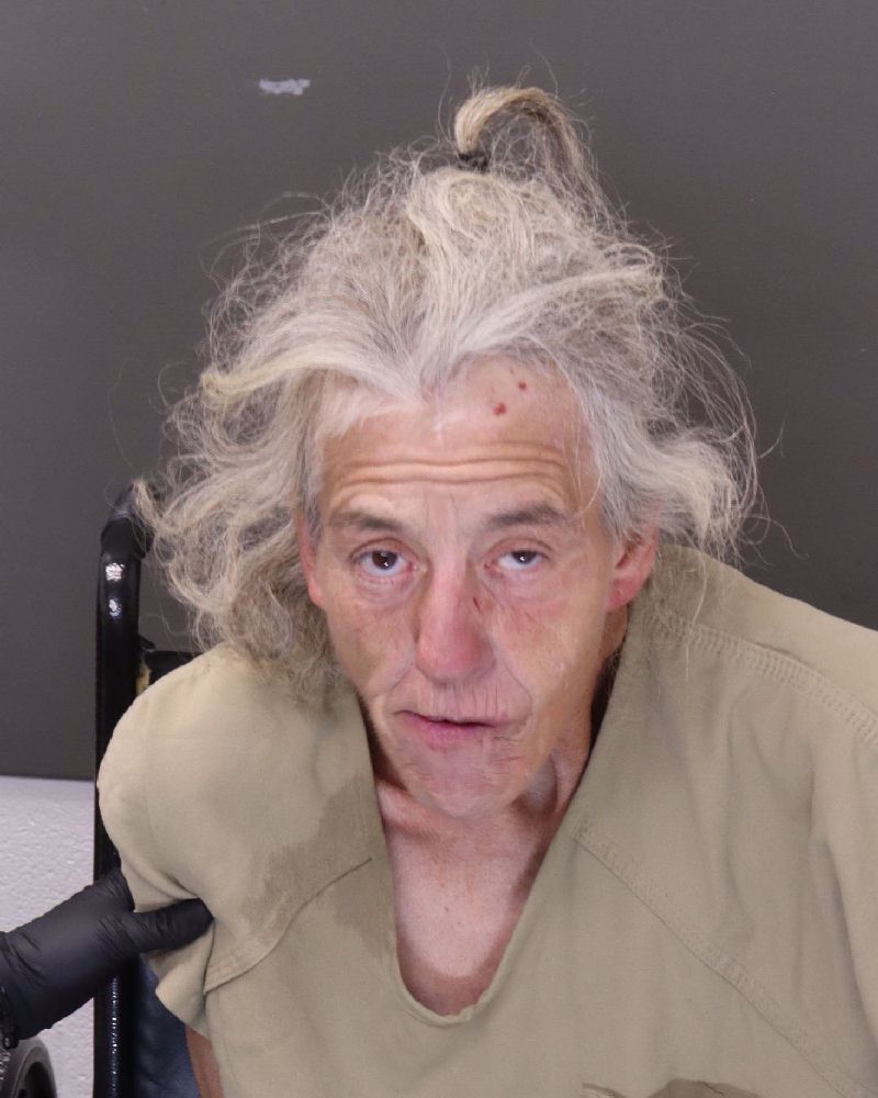 Booking photo of Wandy K Lawwill