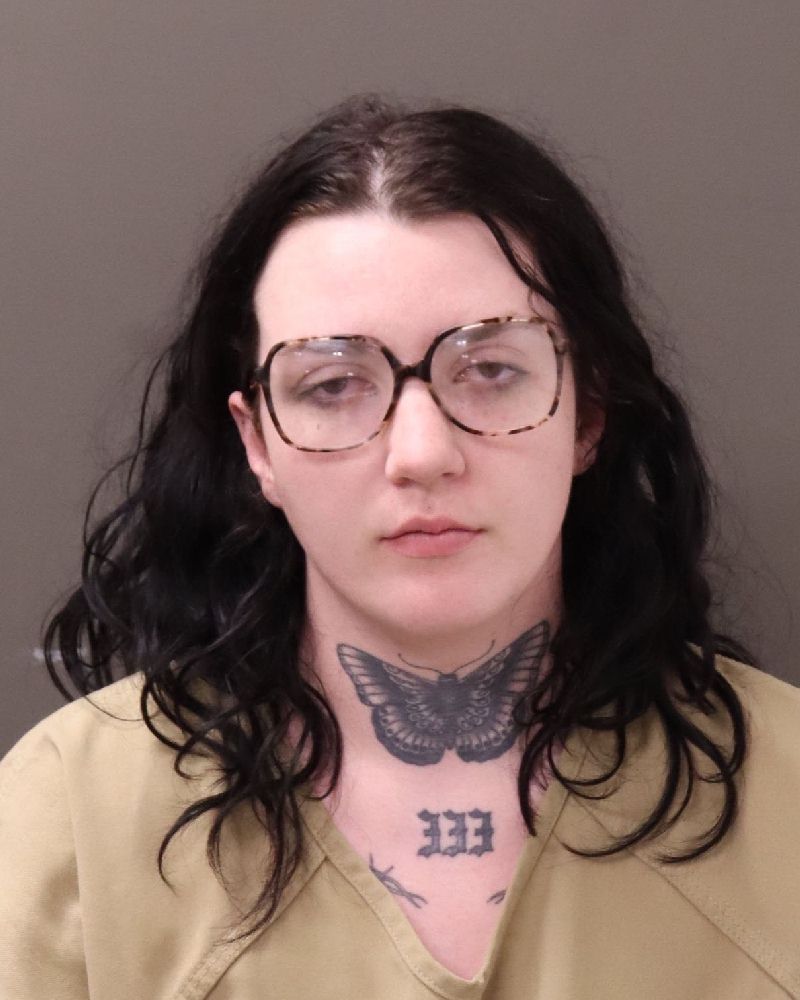 Booking photo of Baleigh Magdalene Gill