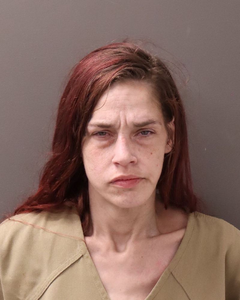 Booking photo of Breann Lynn Hartman