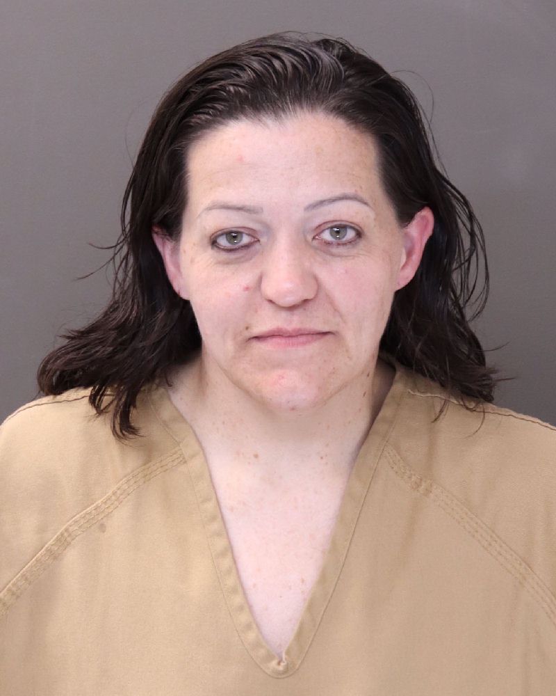 Booking photo of Elizabeth Ashley Chandler