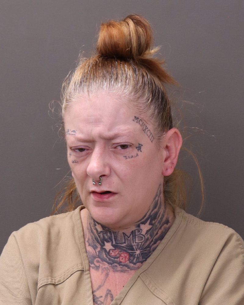 Jennifer A Sisk booking photo