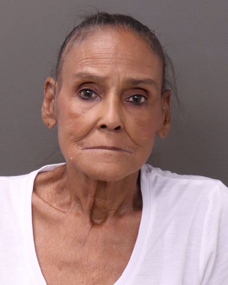 Elaine M Mccaroll booking photo