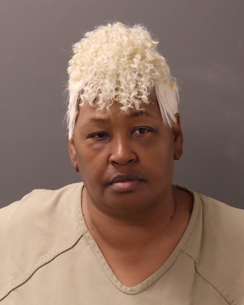 Booking photo of Wendy R Dillard