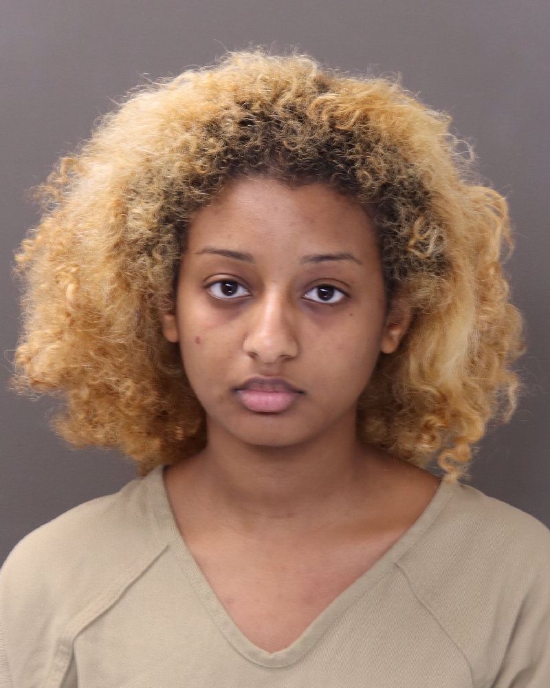 Booking photo of Sabrina N Beshir