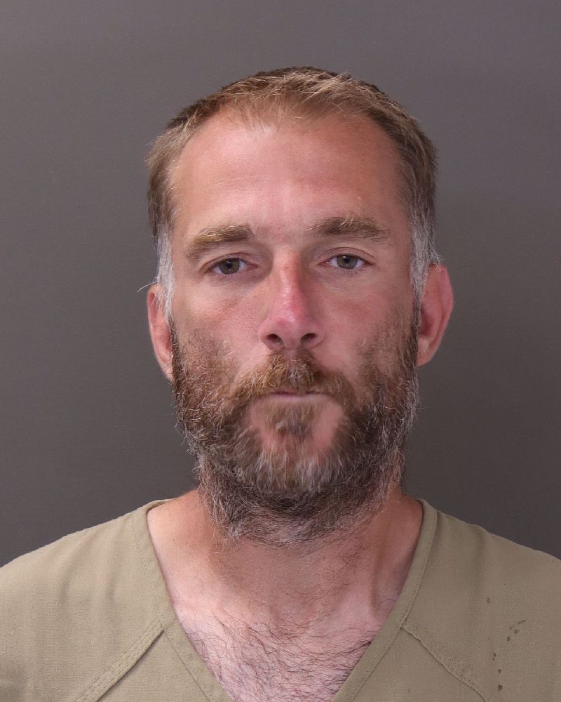 Booking photo of Denny Velcich Wagoner