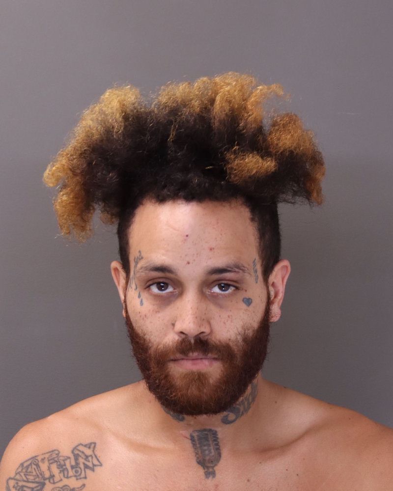 Booking photo of Elijahesa Ranathao Anderson
