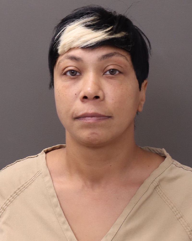 Booking photo of Paula Rochelle Wagner
