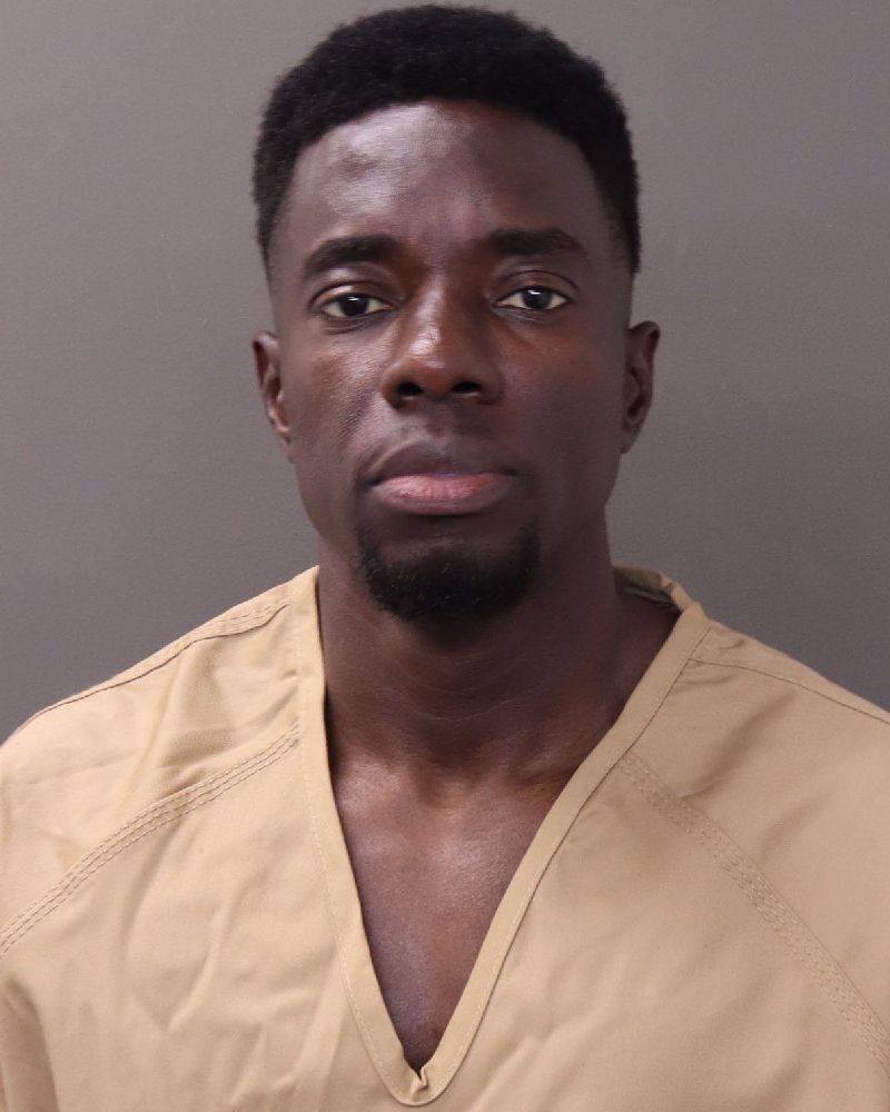 Booking photo of Nana Aye