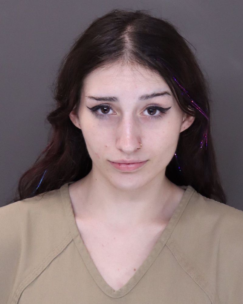 Kate Mackenzie Mett booking photo