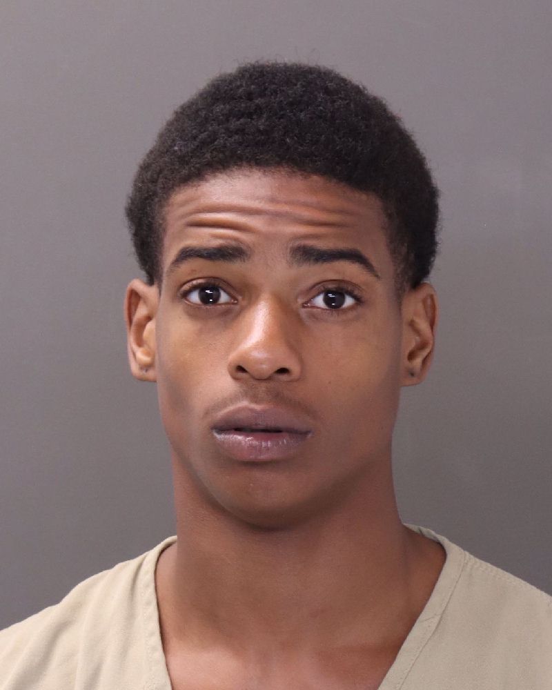 Booking photo of Cash'mere Money Brown